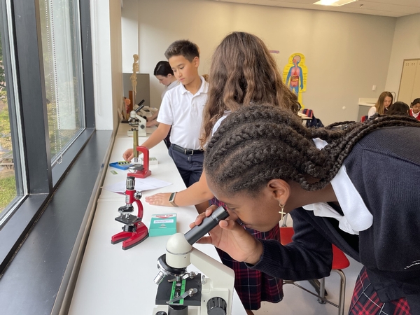 Photo for Announcement 9